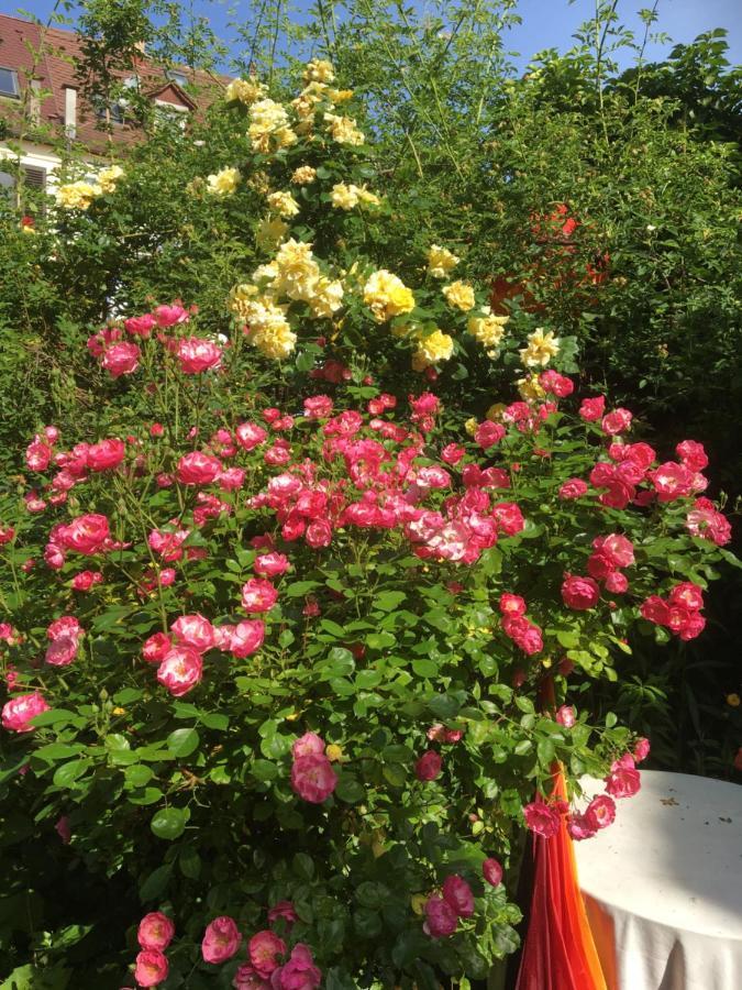 Vintage-Mansarde Uber Wilden Garten Stuttgart Dış mekan fotoğraf